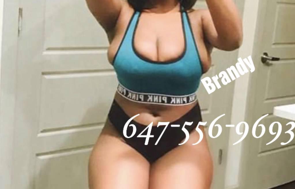 BRANDY BUSTY SQ UIRTER BIG BOOTY Sexy PARTY GIRL